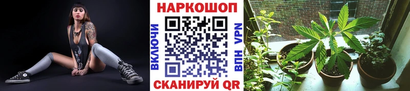 Наркошоп купить APVP  Метамфетамин  Гашиш  Меф мяу мяу  Кашин