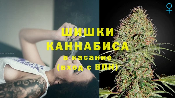 гидропоника Вяземский
