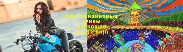 гидропоника Вяземский