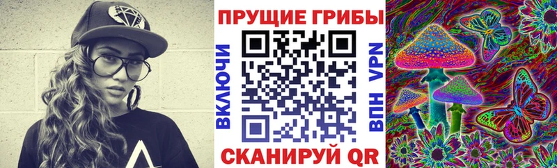 Галлюциногенные грибы Magic Shrooms Купить закладки Кашин